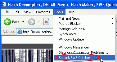 How to Open a .SWF File with SWF Player: Easy Steps