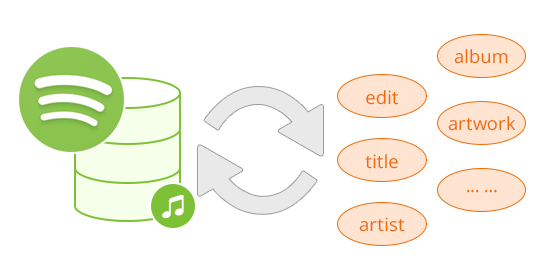 Preserve metadata to organize music library